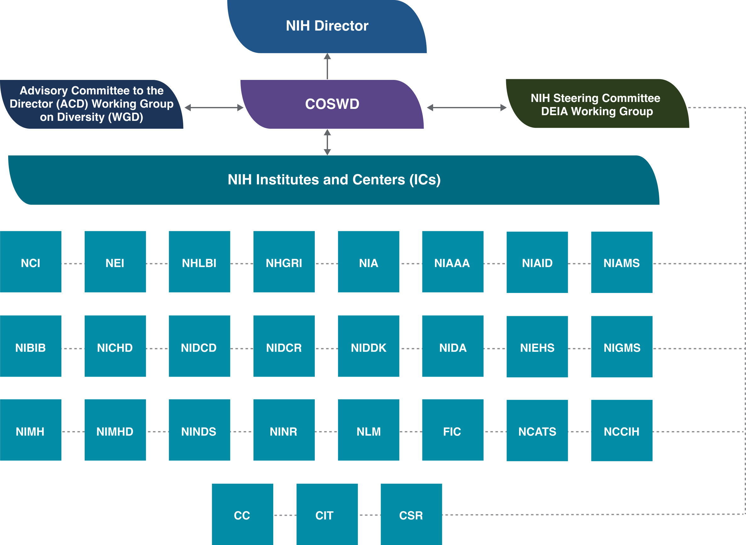 NIH organization chart showing the components of NIH, with the NIH Director; followed by Advisory Committee to the Director (ACD) Working Group on Diversity (WGD), COSWD, and NIH Steering Committee DEIA Working Group; followed by the NIH Institutes and Centers (ICs), which include NCI, NEI, NHLBI, NHGRI, NIA, NIAAA, NIAID, NIAMS, NIBIB, NICHD, NIDCD, NIDCR, NIDDK, NIDA, NIEHS, NIGMS, NIMH, NIMHD, NINDS, NINR, NLM, FIC, NCATS, NCCIH, CC, CIT, and CSR.
